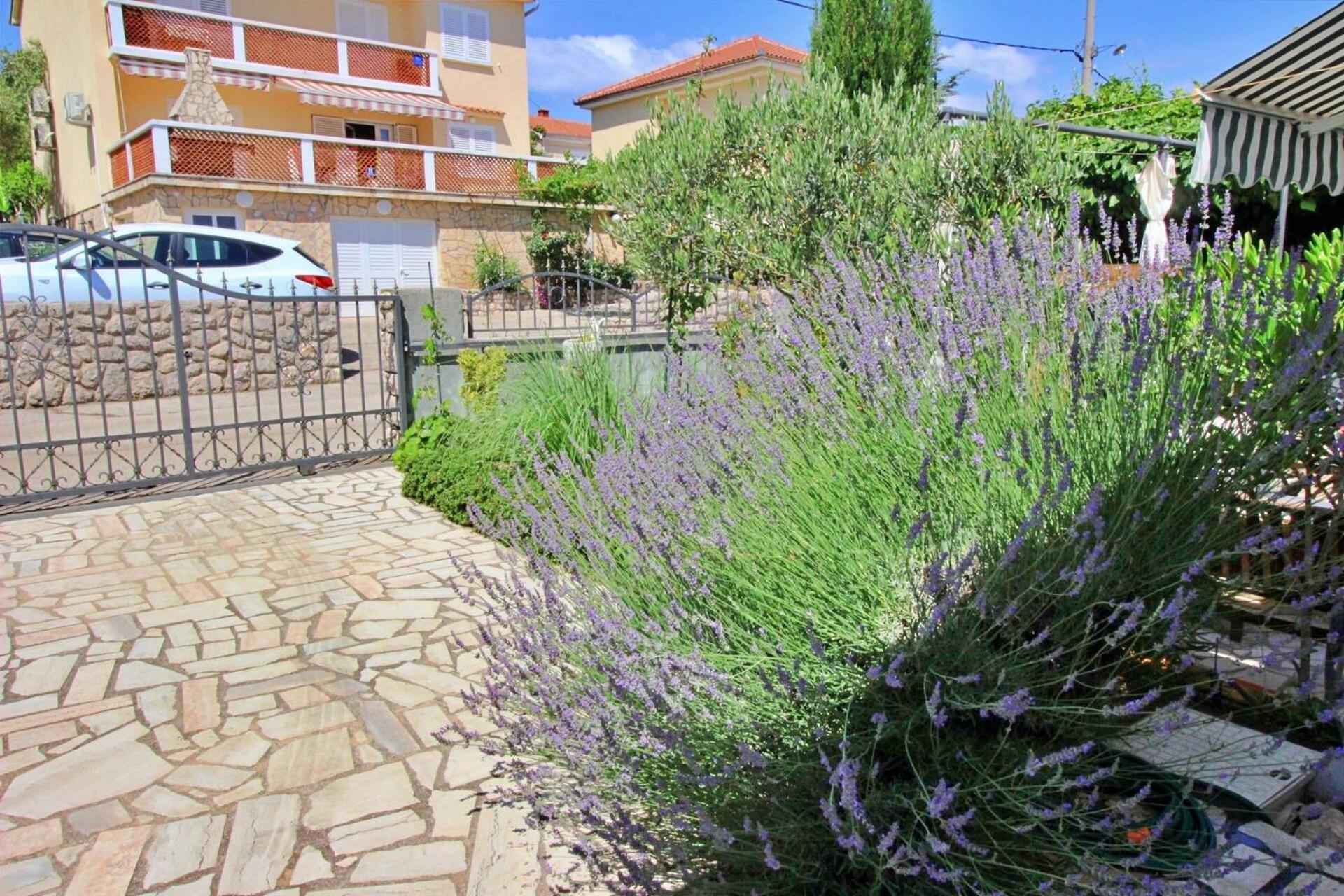 Apartment Renata Šilo Exterior foto